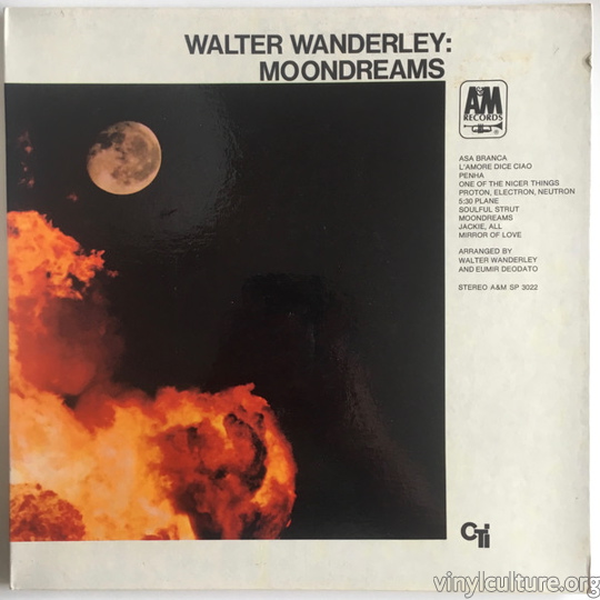 walter_wanderley__5d24.jpg